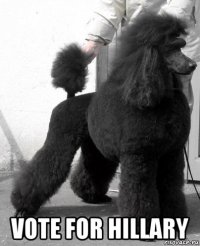  vote for hillary