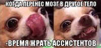 когда перенес мозг в другое тело -время жрать ассистентов