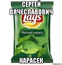 сергей вячеславович карасек