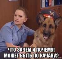  что зачем и почему! может быть по качану?