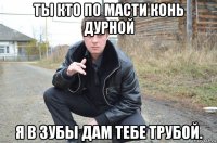 ты кто по масти конь дурной я в зубы дам тебе трубой.