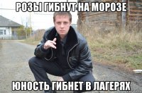 розы гибнут на морозе юность гибнет в лагерях