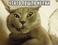 чтото пошло не так 