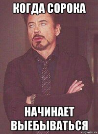 когда сорока начинает выебываться