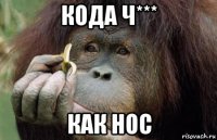 кода ч*** как нос