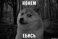 конем ебись