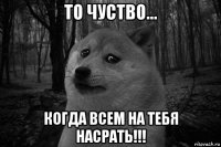 то чуство... когда всем на тебя насрать!!!