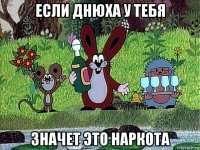 если днюха у тебя значет это наркота