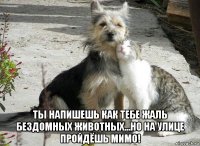  ты напишешь как тебе жаль бездомных животных...но на улице пройдёшь мимо!
