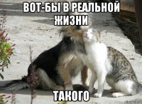 вот-бы в реальной жизни такого