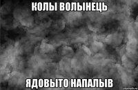 колы волынець ядовыто напалыв