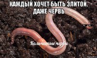 каждый хочет быть элитой. даже червь 