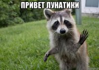 привет лунатики 