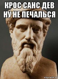 крос санс дев ну не печалься 