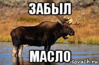 забыл масло