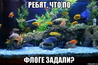 ребят, что по флоге задали?