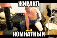 жиракл комнатный