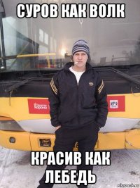 суров как волк красив как лебедь