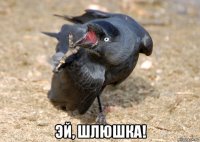  эй, шлюшка!
