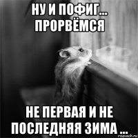 ну и пофиг... прорвёмся не первая и не последняя зима ...