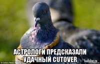  астрологи предсказали удачный cutover
