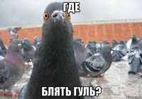 где блять гуль?