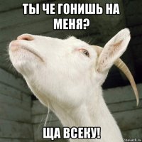 ты че гонишь на меня? ща всеку!