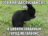 это я когда,спускаюсь с гор в цивилизованный город,мегаполис