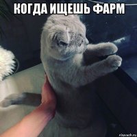 когда ищешь фарм 