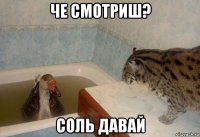 че смотриш? соль давай