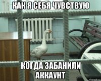 как я себя чувствую когда забанили аккаунт