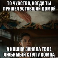 то чувство, когда ты пришел уставший домой а кошка заняла твое любимый стул у компа