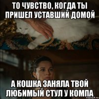 то чувство, когда ты пришел уставший домой а кошка заняла твой любимый стул у компа