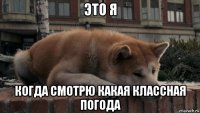 это я когда смотрю какая классная погода