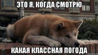 это я, когда смотрю какая классная погода