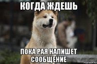 когда ждешь пока рая напишет сообщение