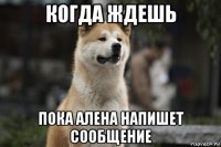 когда ждешь пока алена напишет сообщение