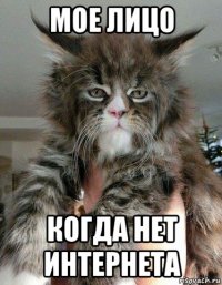 мое лицо когда нет интернета