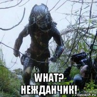  what? нежданчик!