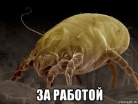  за работой