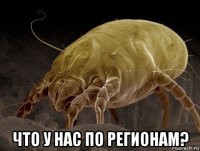  что у нас по регионам?