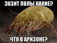 экзит полы какие? что в аризоне?