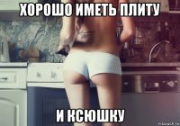 хорошо иметь плиту и ксюшку