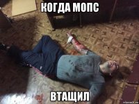 когда мопс втащил