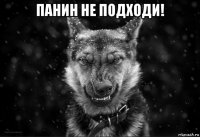 панин не подходи! 