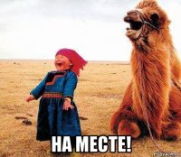  на месте!
