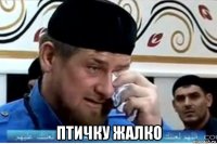  птичку жалко