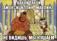 какой такой амоксициллин - мавлин? не видишь, мы кушаем