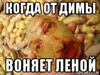 когда от димы воняет леной