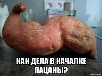 как дела в качалке пацаны?